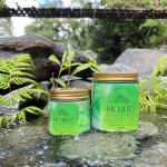 Scented Candles | Summer Cocktails Series - 250ML - Large