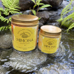 Scented Candles | Summer Cocktails Series - 120ML - Small