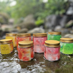 Scented Candles | Summer Cocktails Series - 120ML - Small