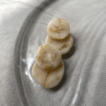 Swim with Style Basics, Silica