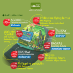 Trucker Cap: Philippine Native Trees Enthusiasts