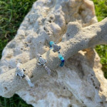 Turtle Rings