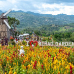 Cebu City Private Day Tour