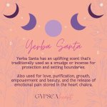 Yerba Santa